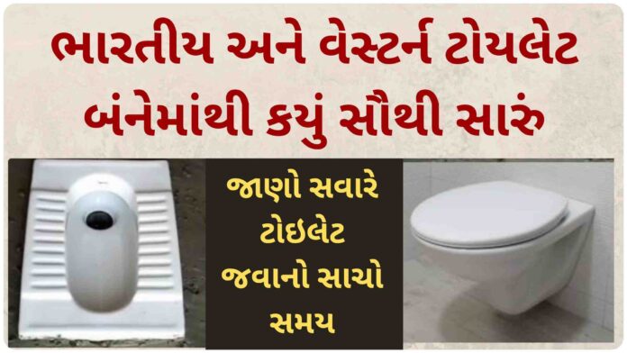 which is better indian toilet or western toilet