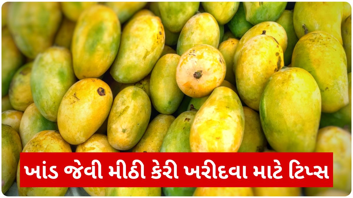 how to pick a sweet mango: જો તમે મીઠી અને સારી કેરી ખરીદવા માંગો છો, તો આ લેખમાં દર્શાવેલ ટિપ્સ તમારા માટે ઉપયોગી થઈ શકે છે.