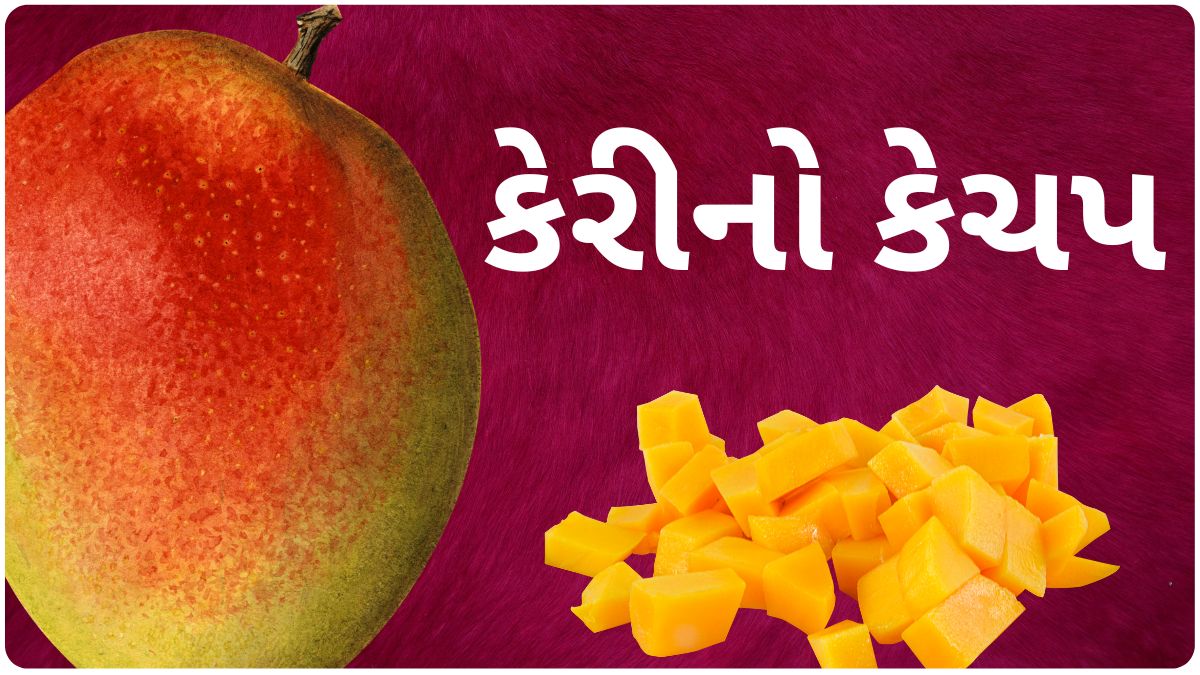 mango ketchup recipe in gujarati