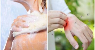 National Dengue Day 2023