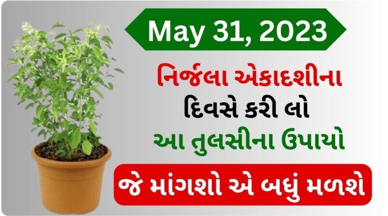 nirjala ekadashi 2023 tulsi remedy for money