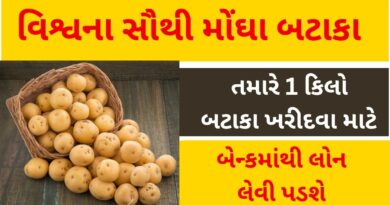 what are the most expensive potatoes