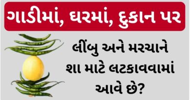 why do we hang lemon and chilli