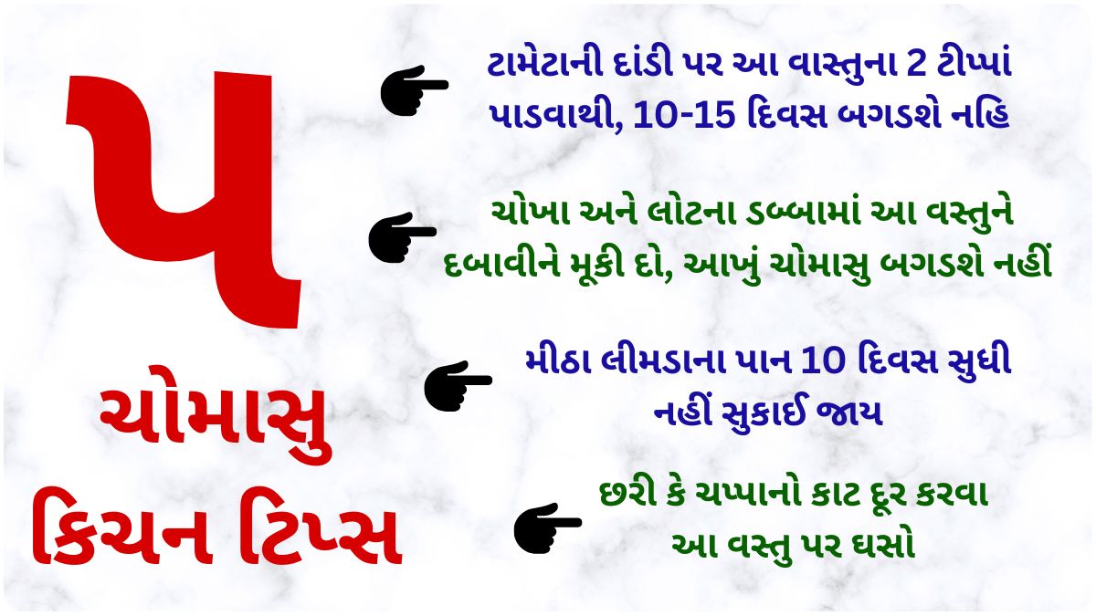 monsoon kitchen tips in gujarati