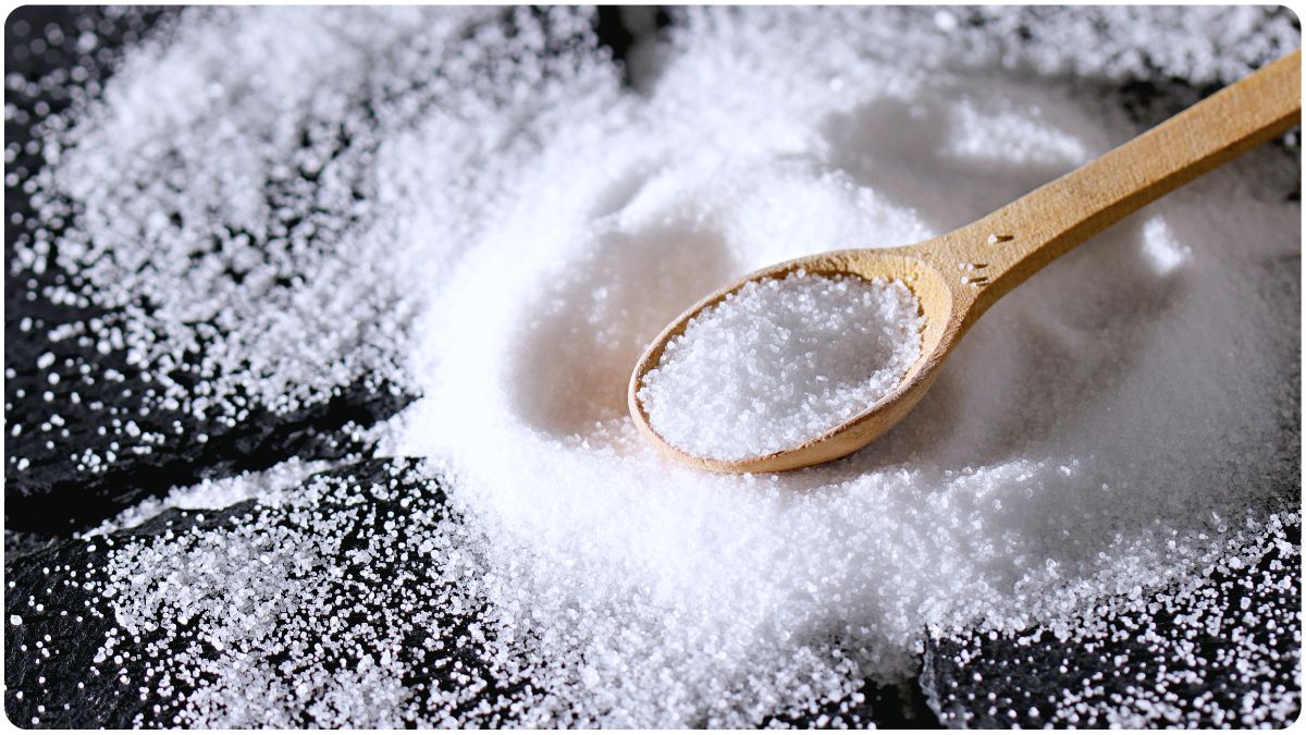 salt free diet for weight loss